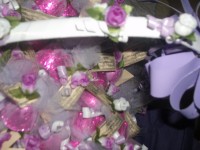 /album/galeria-de-fotos/imagem-195-jpg/